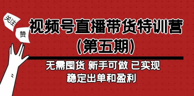 视频号直播带货特训营（第五期）无需囤货 新手可做 已实现稳定出单和盈利-选优云网创