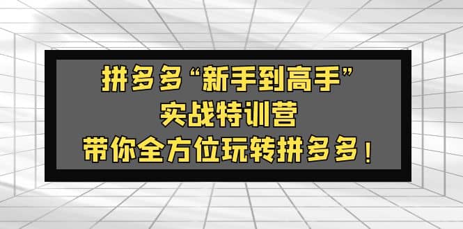 拼多多“新手到高手”实战特训营：带你全方位玩转拼多多-选优云网创