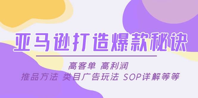 亚马逊打造爆款秘诀：高客单 高利润 推品方法 类目广告玩法 SOP详解等等-选优云网创