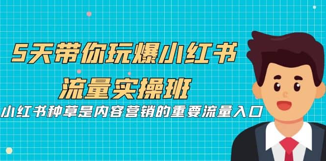 5天带你玩爆小红书流量实操班，小红书种草是内容营销的重要流量入口-选优云网创