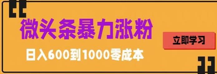 微头条暴力涨粉技巧搬运文案就能涨几万粉丝，简单0成本，日赚600-选优云网创