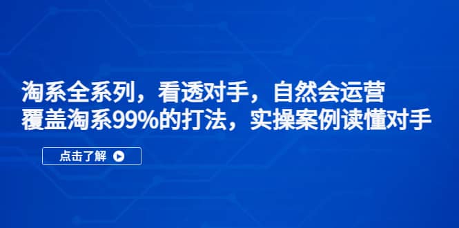 淘系全系列，看透对手，自然会运营，覆盖淘系99%·打法，实操案例读懂对手-选优云网创