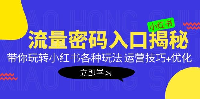 小红书流量密码入口揭秘：带你玩转小红书各种玩法 运营技巧+优化-选优云网创