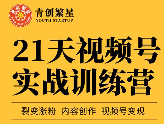 张萌21天视频号实战训练营，裂变涨粉、内容创作、视频号变现 价值298元-选优云网创