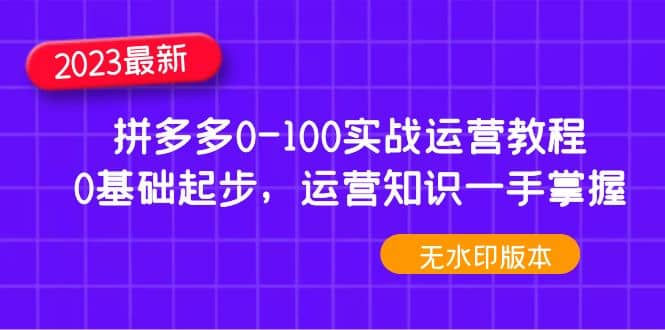 2023拼多多0-100实战运营教程，0基础起步，运营知识一手掌握（无水印）-选优云网创