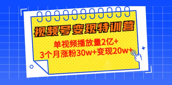 20天视频号变现特训营：单视频播放量2亿+-选优云网创