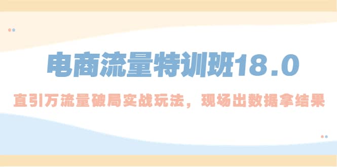 电商流量特训班18.0，直引万流量破局实操玩法，现场出数据拿结果-选优云网创