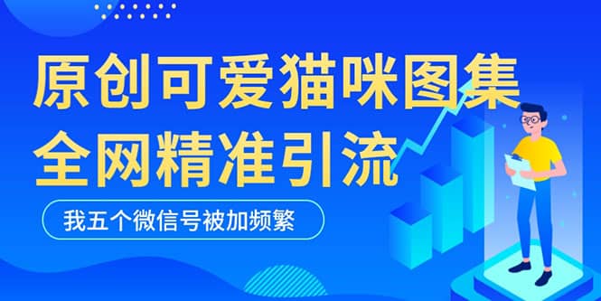 黑科技纯原创可爱猫咪图片，全网精准引流，实操5个VX号被加频繁-选优云网创