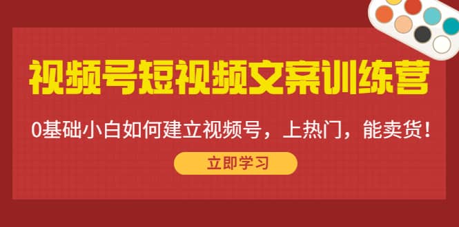 视频号短视频文案训练营：0基础小白如何建立视频号，上热门，能卖货！-选优云网创