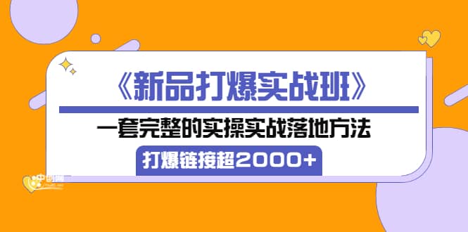 《新品打爆实战班》一套完整的实操实战落地方法，打爆链接超2000+（38节课)-选优云网创