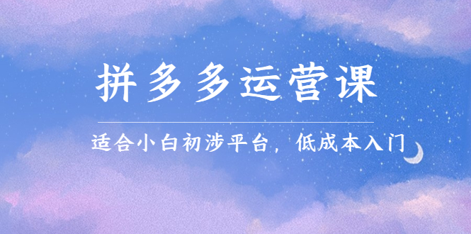 拼多多运营课，适合小白初涉平台，低成本入门-选优云网创