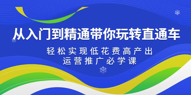 从入门到精通带你玩转直通车：轻松实现低花费高产出，35节运营推广必学课-选优云网创