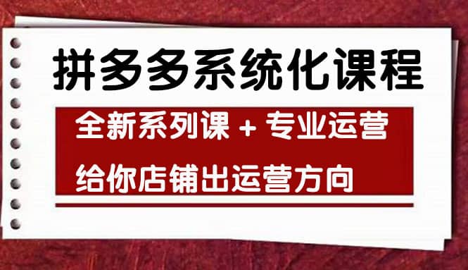 车神陪跑，拼多多系统化课程，全新系列课+专业运营给你店铺出运营方向-选优云网创