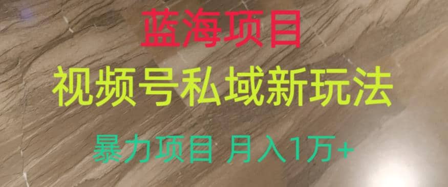 蓝海项目，视频号私域新玩法，暴力项目月入1万+【揭秘】-选优云网创