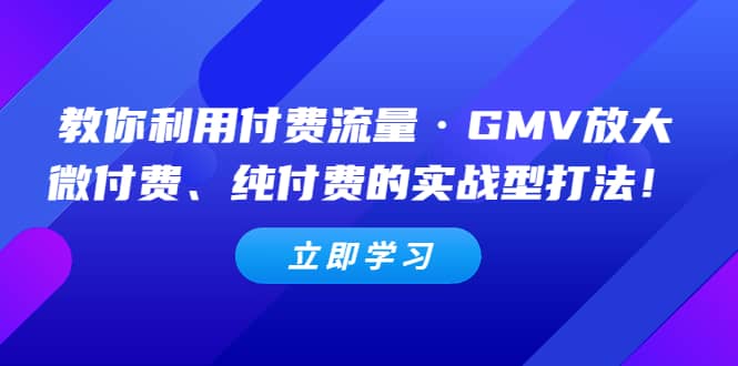 教你利用付费流量·GMV放大，微付费、纯付费的实战型打法-选优云网创