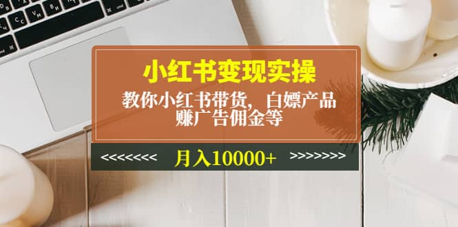 小红书变现实操：教你小红书带货，白嫖产品，赚广告佣金等-选优云网创