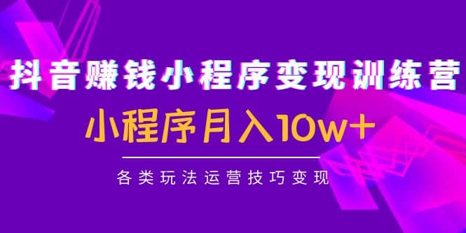 抖音小程序变现训练营：小程序各类玩法运营技巧变现-选优云网创