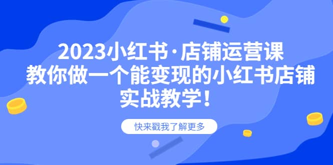 2023小红书·店铺运营课，教你做一个能变现的小红书店铺，20节-实战教学-选优云网创