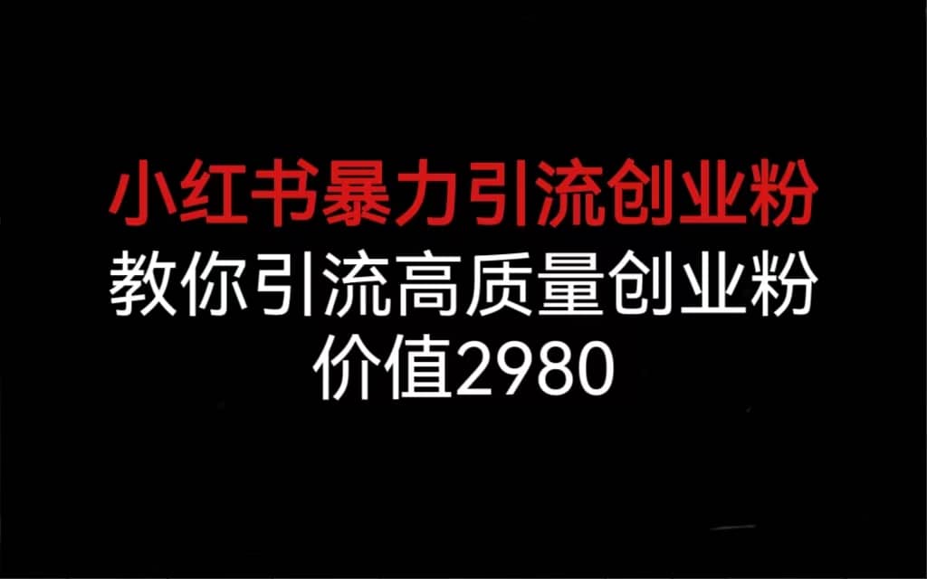 小红书暴力引流创业粉，教你引流高质量创业粉，价值2980-选优云网创