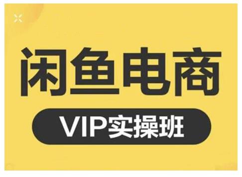 闲鱼电商零基础入门到进阶VIP实战课程，帮助你掌握闲鱼电商所需的各项技能-选优云网创