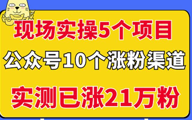 现场实操5个公众号项目，10个涨粉渠道，实测已涨21万粉！-选优云网创