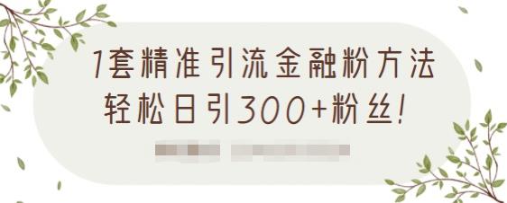 1套精准引流金融粉方法，轻松日引300+粉丝【视频课程】-选优云网创