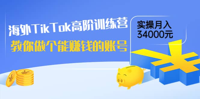 海外TikTok高阶训练营：教你做个能赚钱的账号，实操月入34000元！-选优云网创