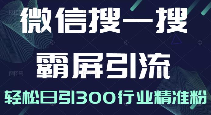 微信搜一搜霸屏引流课，打造被动精准引流系统，轻松日引300行业精准粉【无水印】-选优云网创