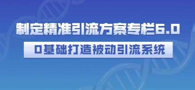 制定精准引流方案专栏6.0，0基础打造被动引流系统-选优云网创