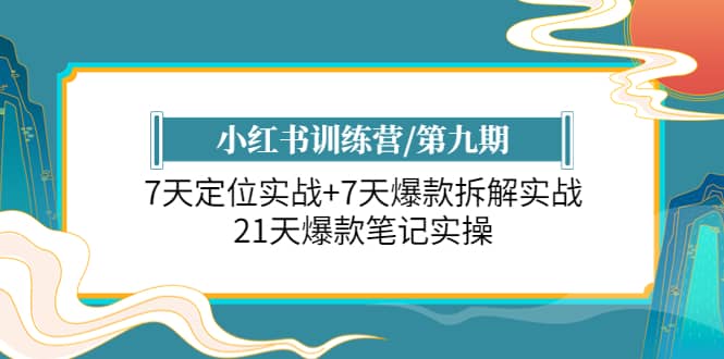 小红书训练营/第九期：7天定位实战+7天爆款拆解实战，21天爆款笔记实操-选优云网创