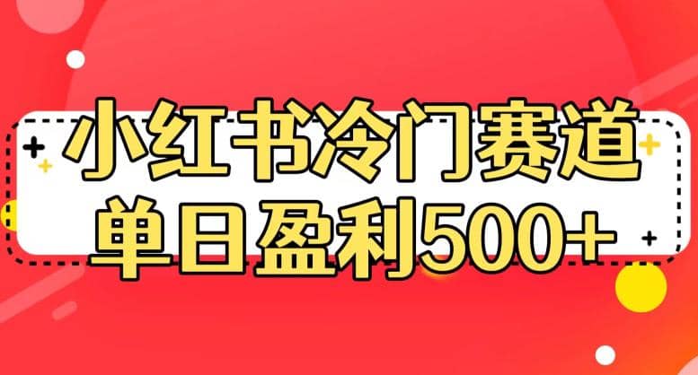 小红书冷门赛道，单日盈利500+【揭秘】-选优云网创