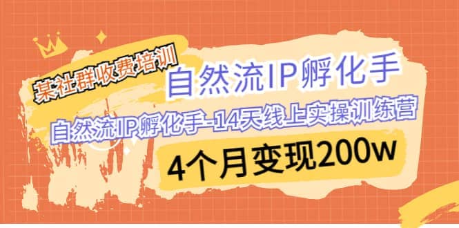 某社群收费培训：自然流IP 孵化手-14天线上实操训练营 4个月变现200w-选优云网创