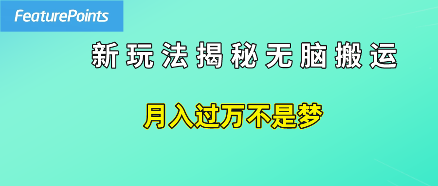 简单操作，每天50美元收入，搬运就是赚钱的秘诀！-选优云网创