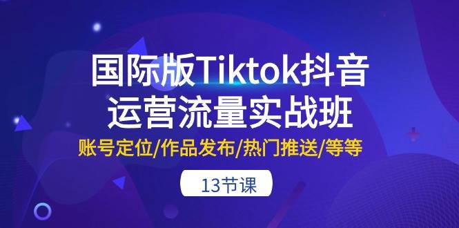 国际版Tiktok抖音运营流量实战班：账号定位/作品发布/热门推送/等等-13节-选优云网创