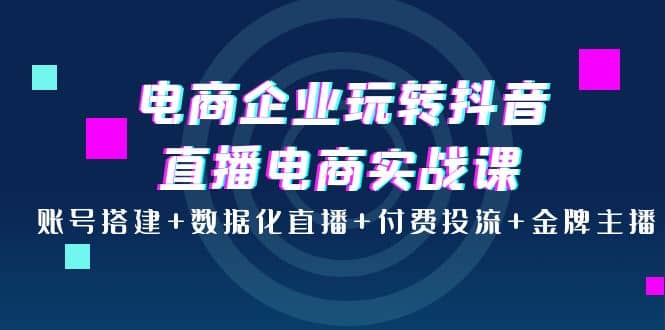 电商企业玩转抖音直播电商实战课：账号搭建+数据化直播+付费投流+金牌主播-选优云网创