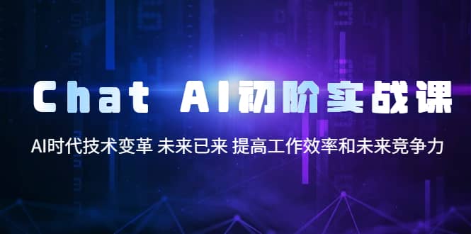 Chat AI初阶实战课，AI时代技术变革 未来已来 提高工作效率和未来竞争力-选优云网创