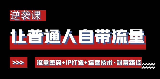 让普通人自带流量的逆袭课：流量密码+IP打造+运营技术·财富路径-选优云网创