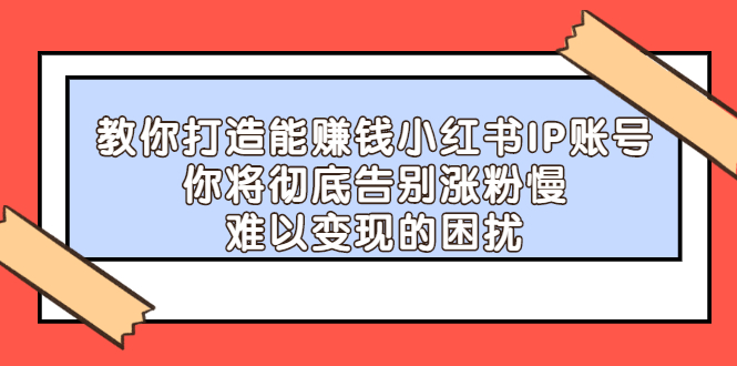 教你打造能赚钱小红书IP账号，了解透彻小红书的真正玩法-选优云网创