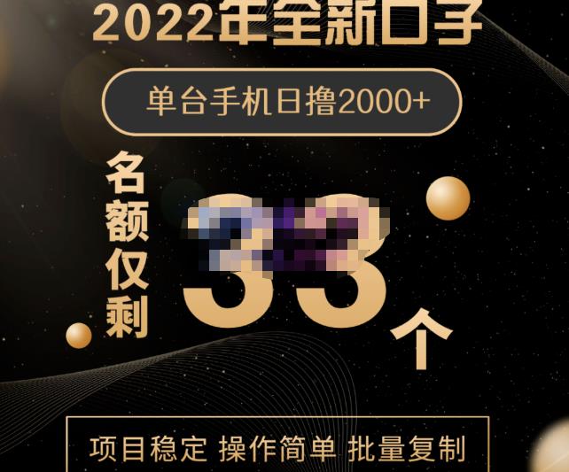 2022年全新口子，手机批量搬砖玩法，一部手机日撸2000+-选优云网创