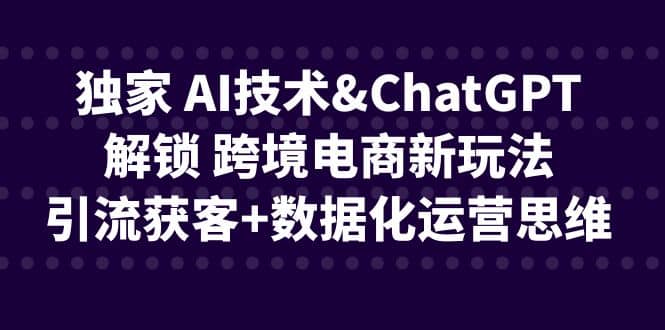 独家 AI技术ChatGPT解锁 跨境电商新玩法，引流获客+数据化运营思维-选优云网创