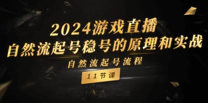 2024游戏直播-自然流起号稳号的原理和实战，自然流起号流程（11节）-选优云网创