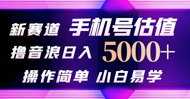 抖音不出境直播【手机号估值】最新撸音浪，日入5000+，简单易学，适合...-选优云网创