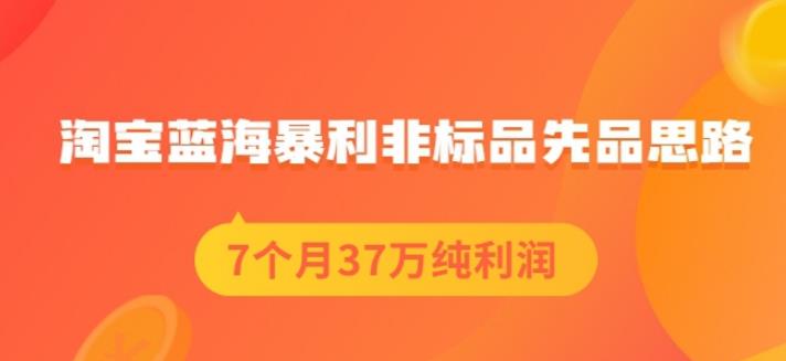 盗坤淘宝蓝海暴利非标品先品思路，7个月37万纯利润，压箱干货分享！【付费文章】-选优云网创