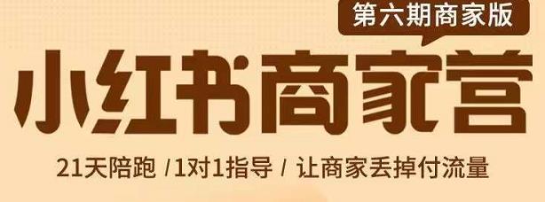 贾真-小红书商家营第6期商家版，21天带货陪跑课，让商家丢掉付流量-选优云网创