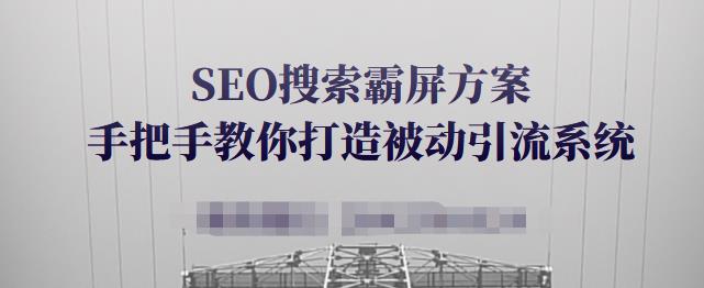 SEO搜索霸屏方案，手把手教你打造被动引流系统【视频课程】-选优云网创