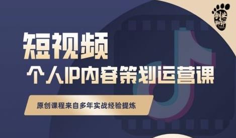 抖音短视频个人ip内容策划实操课，真正做到普通人也能实行落地-选优云网创