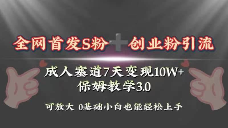 全网首发s粉加创业粉引流变现，成人用品赛道7天变现10w+保姆教学3.0-选优云网创