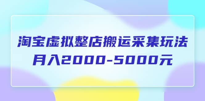 淘宝虚拟整店搬运采集玩法分享课：月入2000-5000元（5节课）-选优云网创