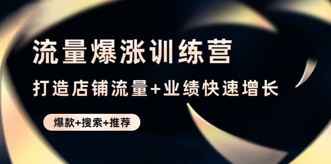 流量爆涨训练营：打造店铺流量+业绩快速增长 (爆款+搜索+推荐)-选优云网创