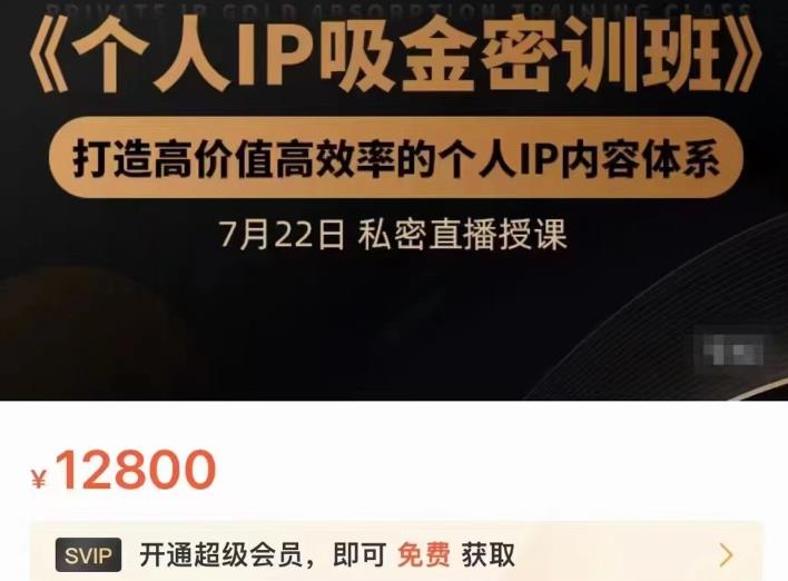 个人IP吸金密训班，打造高价值高效率的个人IP内容体系（价值12800元）-选优云网创